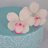 Zuckerblumen Orchideen