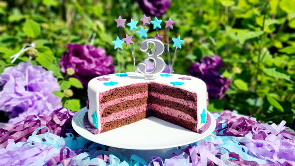 Blaubeer Schokotorte