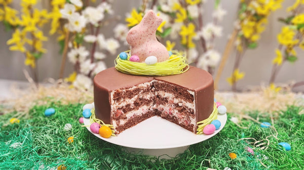 Bunte Zitronen Frischkäse Torte – Clever Cakes Bunte Zitronen Frischkäse Torte – Clever Cakes