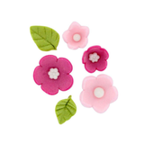 Zuckerblümchen und Blätter