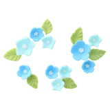 Zuckerblümchen blau und Blätter