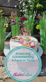 Schmetterling Schwarm